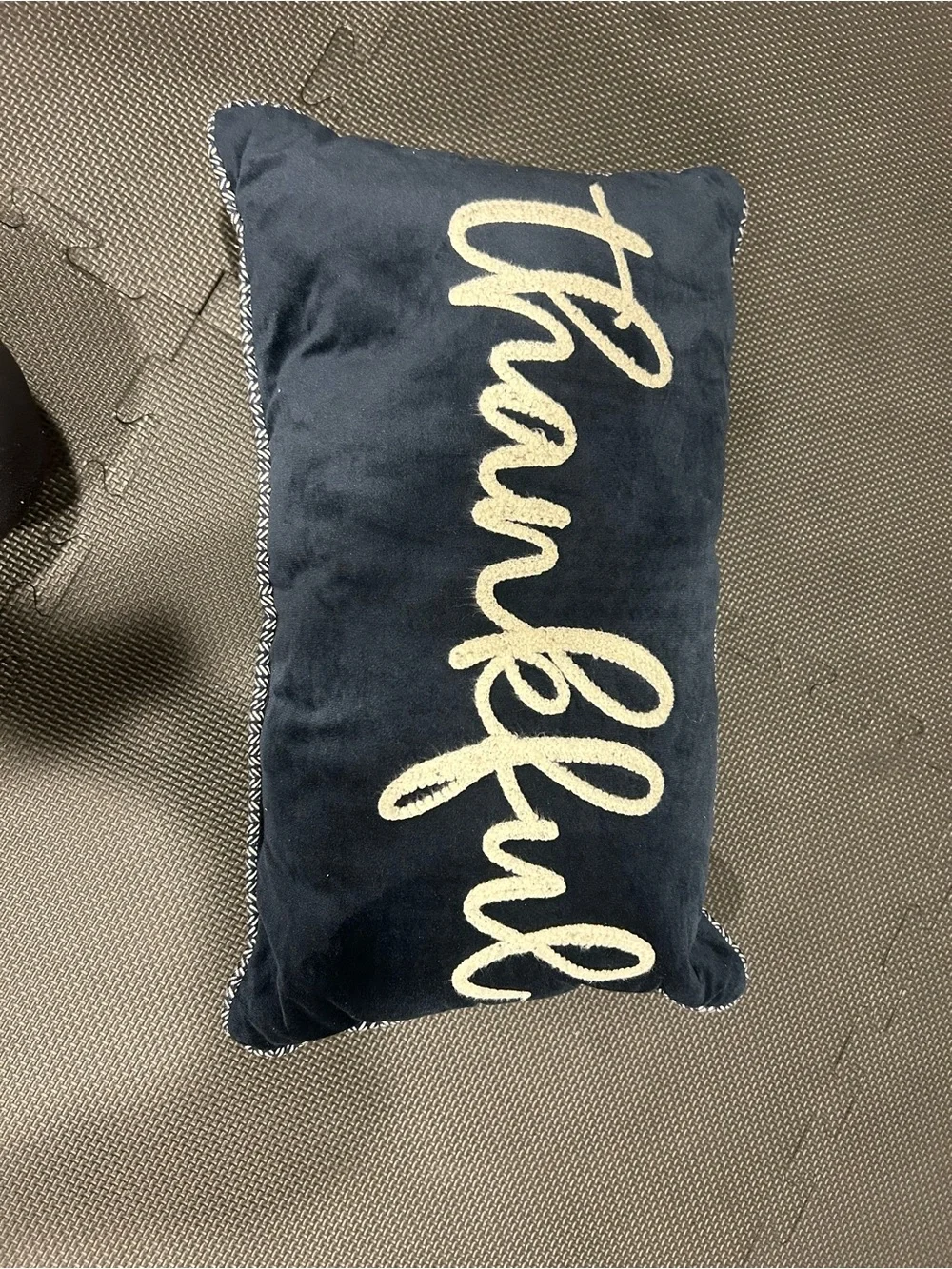 Target Navy Velvet Holiday Pillow with Gold Script
